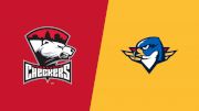 2024 Charlotte Checkers vs Springfield Thunderbirds