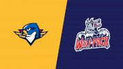 2024 Springfield Thunderbirds vs Hartford Wolf Pack