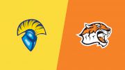2024 Westcliff University vs Occidental - Men's Water Polo