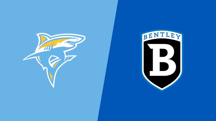 2024 Long Island University vs Bentley - Men's