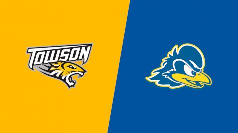 2024 Towson vs Delaware - Swimming