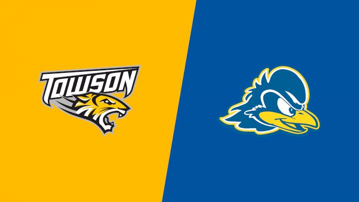 2024 Towson vs Delaware - Swimming