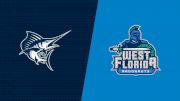 2024 Palm Beach Atlantic vs West Florida - Women's