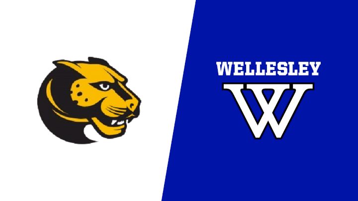 2025 Wentworth Institute vs Wellesley College - Women's