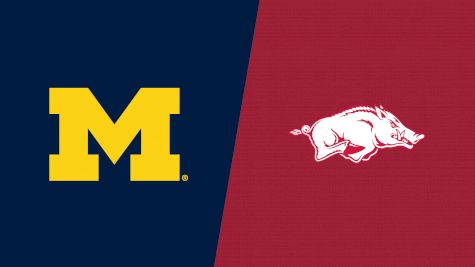 2025 Michigan vs Arkansas