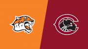 2025 Occidental vs Chapman - Swimming