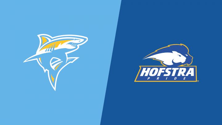 2025 Long Island University vs Hofstra - Women's Lacrosse