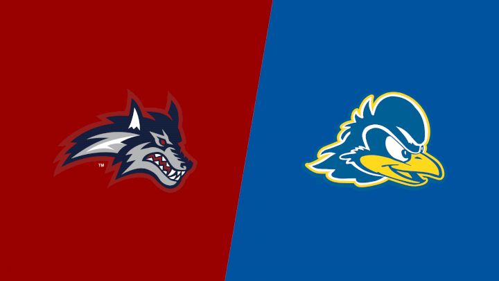 2025 Stony Brook vs Delaware