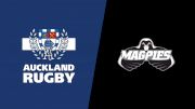 2025 Hawke's Bay vs Auckland - Women's