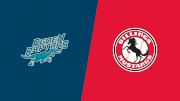 2025 Ogden Raptors vs Billings Mustangs