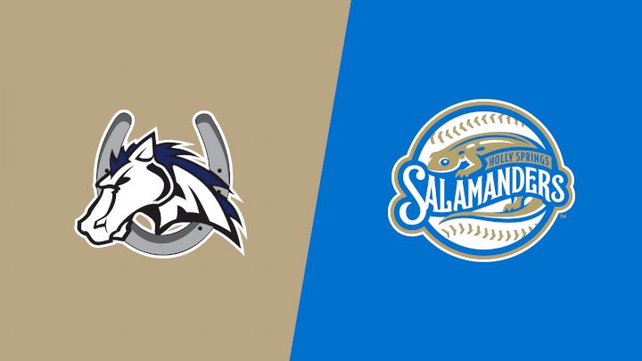 2025 Martinsville Mustangs vs Holly Springs Salamanders