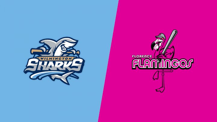 2025 Wilmington Sharks vs Florence Flamingos