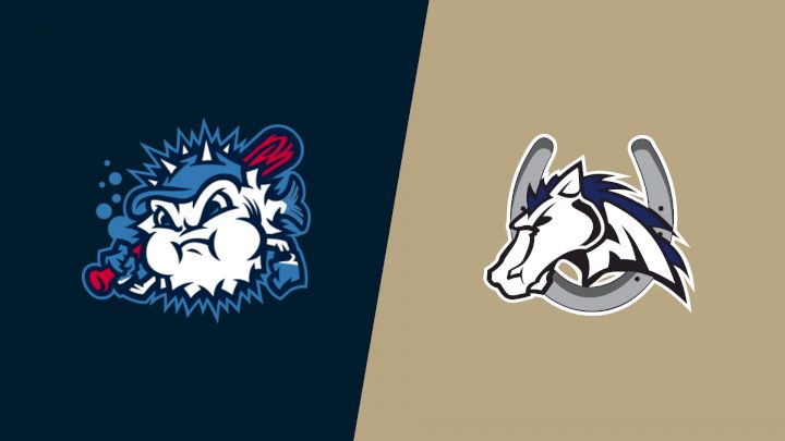 2025 Lexington County Blowfish vs Martinsville Mustangs