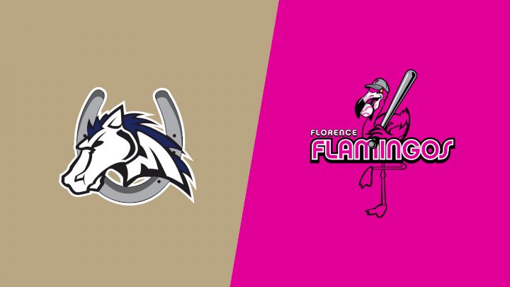 2025 Martinsville Mustangs vs Florence Flamingos