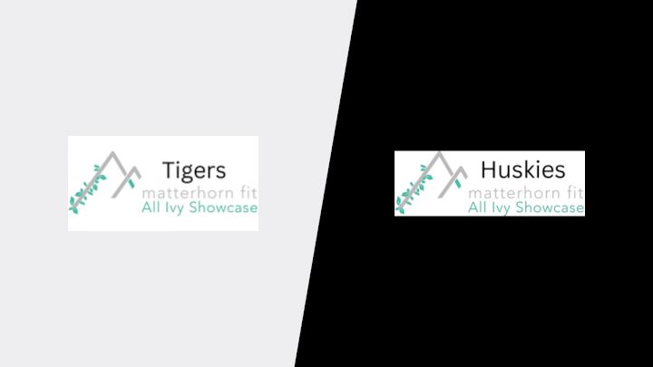 2025 Tigers vs Huskies
