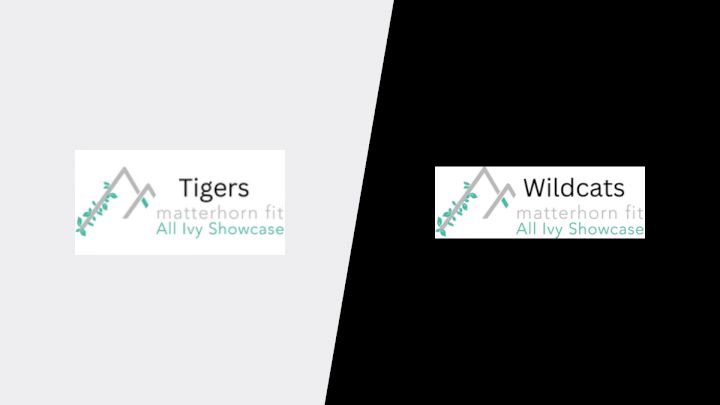 2025 Tigers vs Wildcats