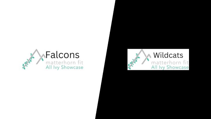 2025 Falcons vs Wildcats