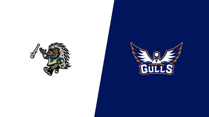 2025 Energy City Cactus Rats vs Sylvan Lake Gulls