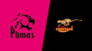 2025 Toyota Cheetahs vs Airlink Pumas