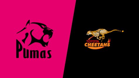 2025 Toyota Cheetahs vs Airlink Pumas