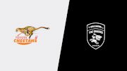 2025 Hollywoodbets Sharks vs Toyota Cheetahs