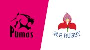 2025 Western Province vs Airlink Pumas