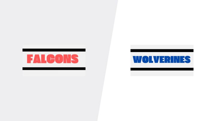 2025 Falcons Futures vs Wolverines Futures