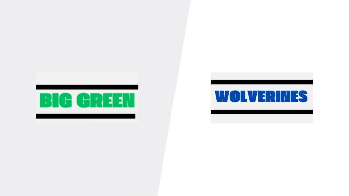 Team Matchup Image Service.