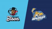 2025 Bloomington vs Toledo Walleye