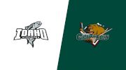 2025 Idaho Steelheads vs Utah Grizzlies