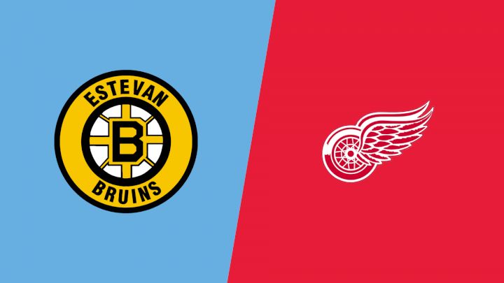2026 Estevan Bruins vs Weyburn Red Wings