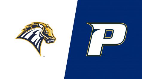 2024 New Haven vs Pace University
