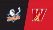 2025 San Diego Gulls vs Calgary Wranglers