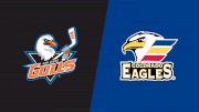 2026 San Diego Gulls vs Colorado Eagles