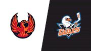 2026 Coachella Valley Firebirds vs San Diego Gulls
