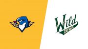 2026 Springfield Thunderbirds vs Iowa Wild