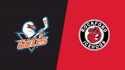 2026 San Diego Gulls vs Rockford IceHogs