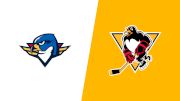 2026 Springfield Thunderbirds vs Wilkes-Barre/Scranton Penguins