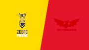 2026 Scarlets vs Zebre Parma