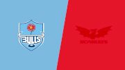 2026 Scarlets vs Vodacom Bulls