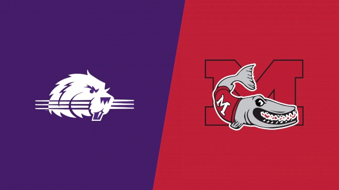 Team Matchup Image Service.