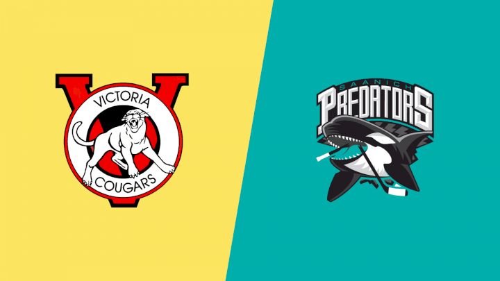 2026 Victoria Cougars vs Saanich Predators