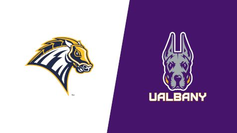 2025 New Haven vs UAlbany