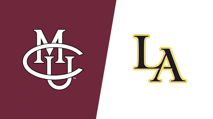 Team Matchup Image Service.