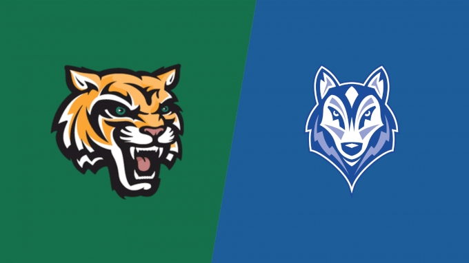 Team Matchup Image Service.