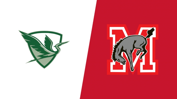 Team Matchup Image Service.