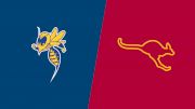 Replay: LeTourneau vs Austin College | Oct 31 @ 6 PM