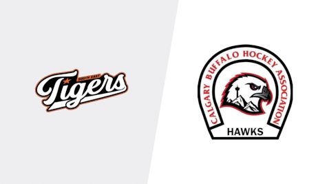 Replay: Home - 2025 SE Tigers U13 vs Hawks U13 | Dec 7 @ 2 PM