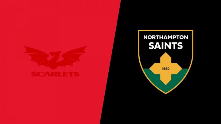 Northampton Saints vs Scarlets