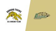 Replay: Home - 2026 Tigers vs Cougars | Feb 9 @ 6 PM